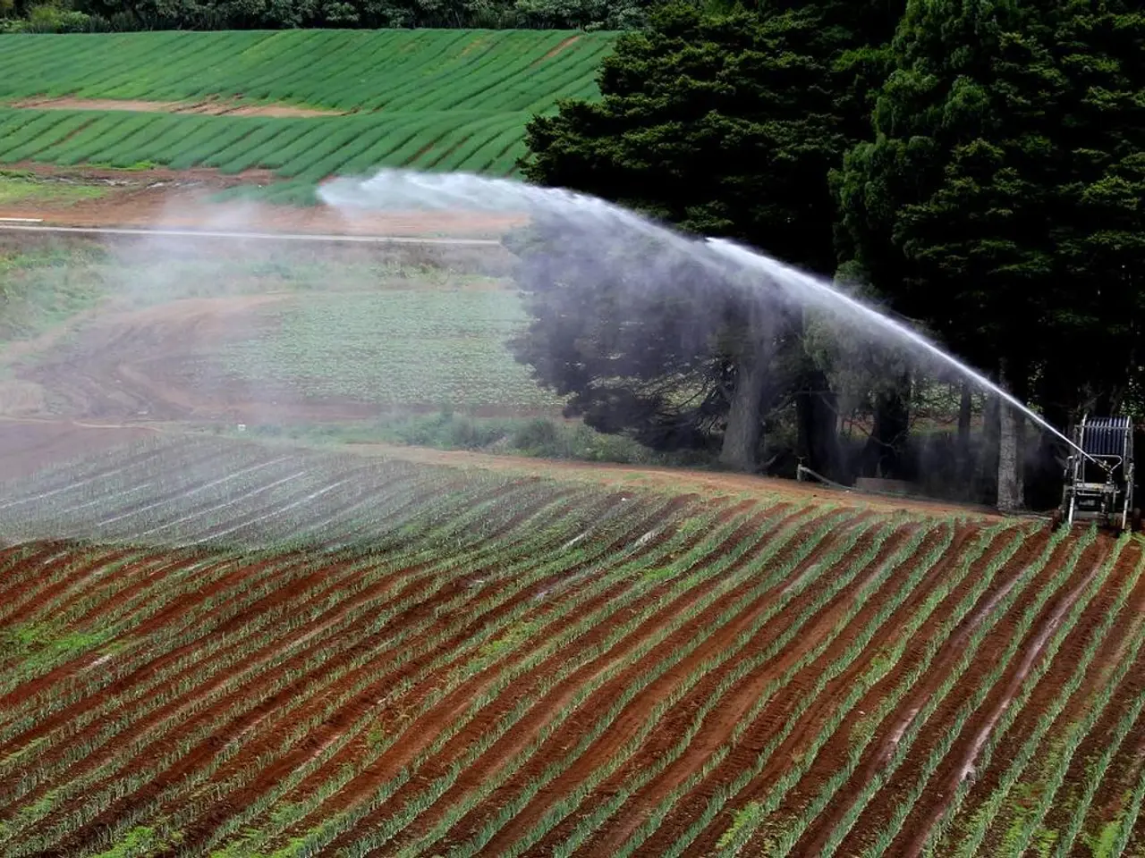 Tech-Savvy Cloud Architect Transforms into Crop Cultivator: Kanuj Kachhawaha Redefines Agriculture...