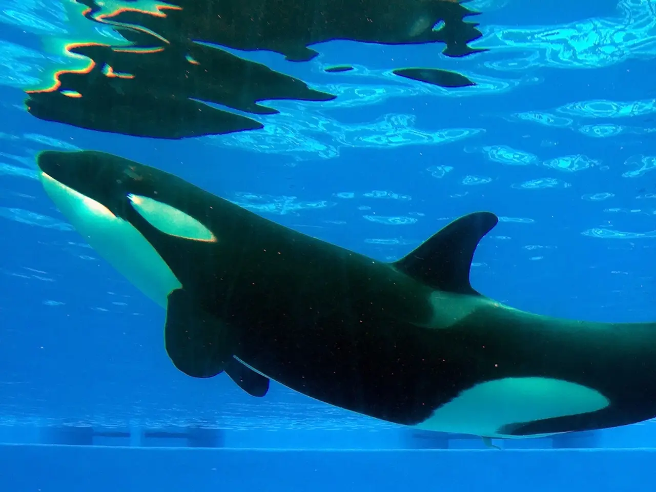 Giant Bitcoin Holder Transfers $116 Million in Cryptocurrency Following a 12-Year Layoff