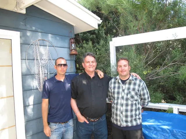 Game malfunction with visual glitches and crashes in Pikmin 3 Deluxe on Nintendo Switch; promptly...