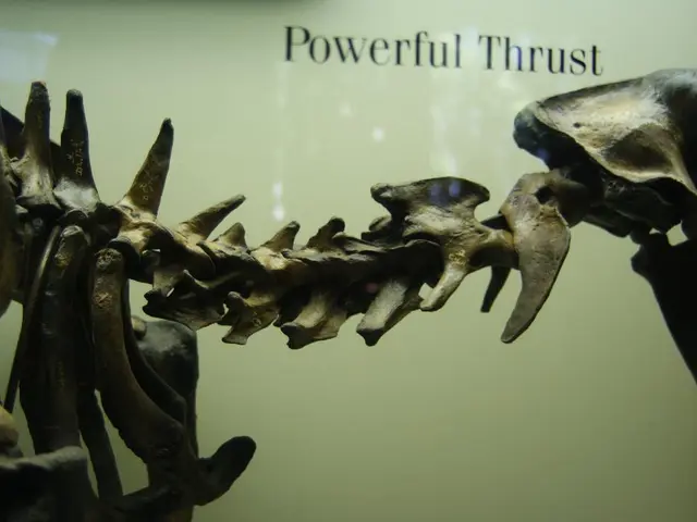 Instructions for Implementing Skeleton Loading in NextJS