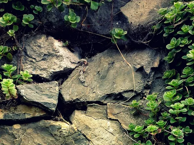 Exploring and Verifying the Mineralogical Peculiarities of Rare Natural Citrine