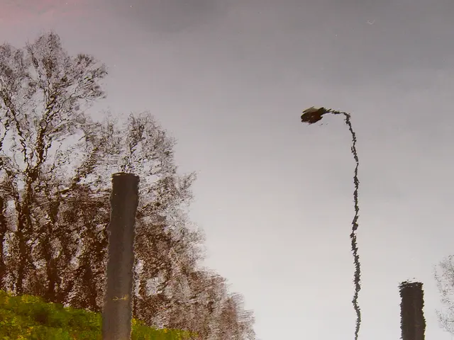 Critique of the Light & Motion Sola 2500: A Comprehensive Analysis