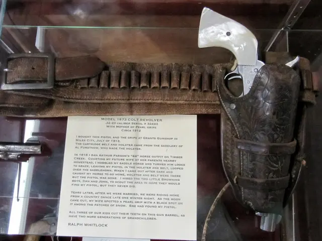 Continuous Transportation Belt System