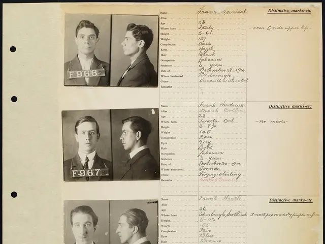 Instructive Overview: Unveiling the Fundamentals of Contrastive Learning