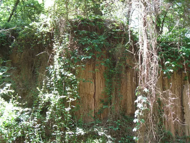 Development of a Biodiversity Surveillance System in Chile: Creation of a Network for Environmental...