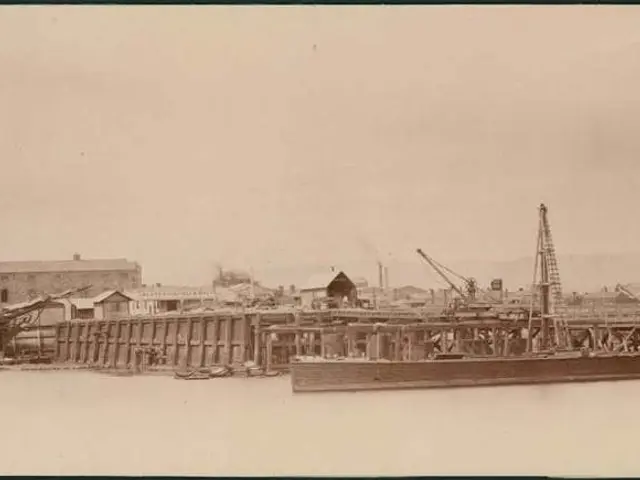 Unseen Navigator: Discovering the Role of Earth's Magnetic Field in Leading Wildlife and Deep-Sea...