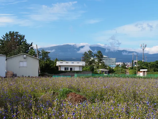 Expanding Tesla's sustainable energy efforts, a 6 MW solar and 8 MWh Megapack project will power...