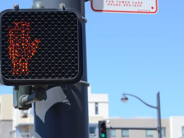 Methods to Monitor Your Site's Google Visitor Statistics