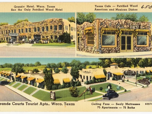 Business Strategies: An Analysis of Income Generating Approaches for Businesses Leveraging Data