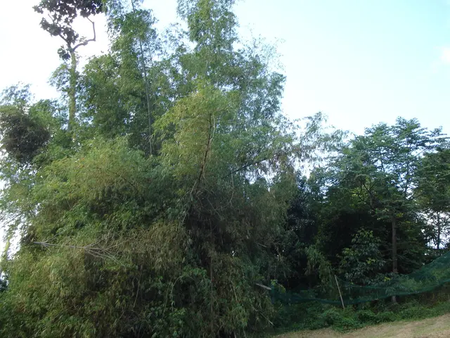 Boosting Your Company Network: Top 6 Software-Defined Networking Advancements