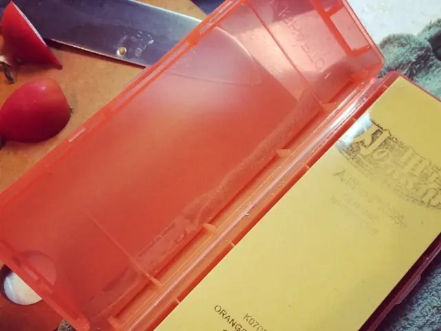 Programming methodology in Python, emphasizing object-oriented concept of concealing an object's...