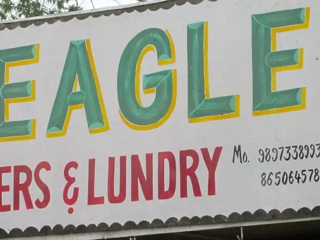 Stablecoin project for US dollar announced by WisdomTree, expanding their cryptocurrency selections