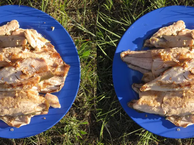 Exploring the Gastronomic Future: An In-depth Analysis of Artificial Meat's Flavor and Technology...