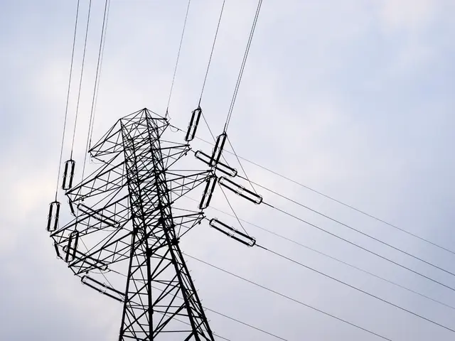 Starlink Activates in Democratic Republic of Congo, Extending Its African Presence