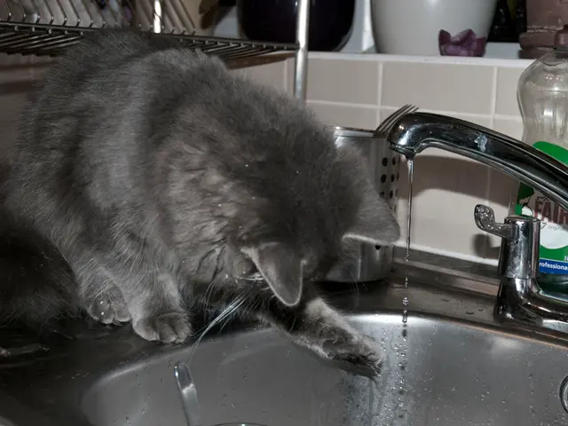 Funding Announcement for Bitcoin Ordinals Project's Taproot Initiative, Backed by $30 Million,...