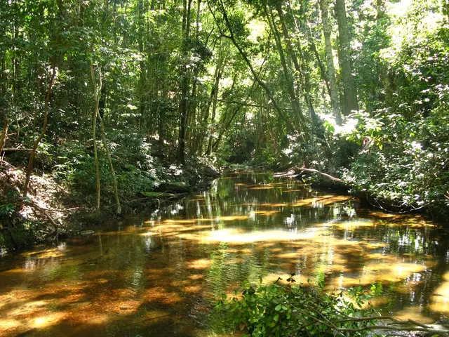 Construction Progress of the North Baltic Sea Canal Unveiled by Webcam Footage