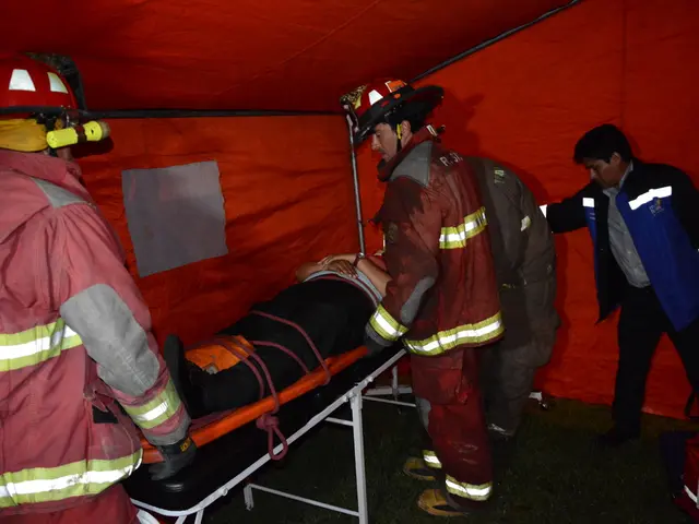 Drone Interface for First Responder Applications (DAFI) refers to a system that equips drones for...