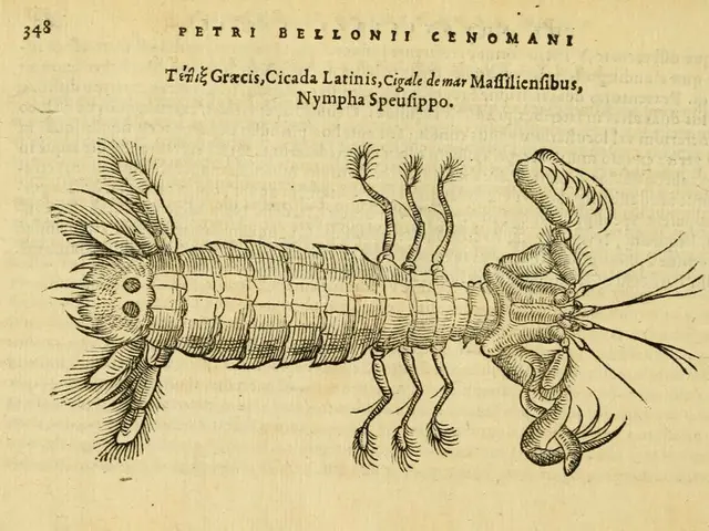 The latest issue of the magazine "No Bees, No Life" was unveiled on our website.