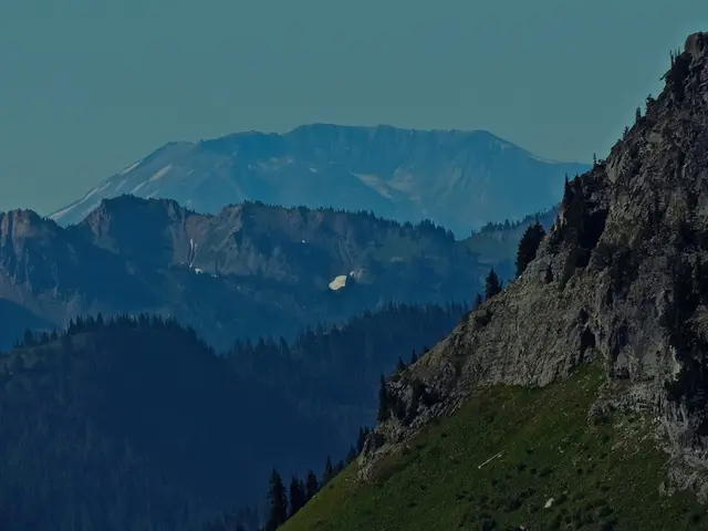 Global initiative Treepz makes debut in Canada, amplifying African mobility advancements on a...