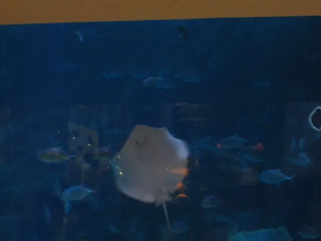 Water Purification through UV Sterilization: Ensuring Cleanliness and Illness Protection in Your...