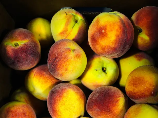 DRCFiles Lawsuit Against Apple, Claims Evidence of Blood Minerals Used in Products