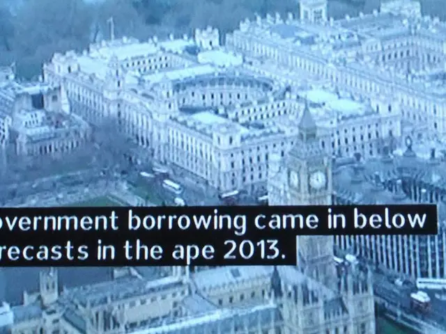 Exposure of organizational vulnerabilities in nonprofits due to Fed's targeting strategy