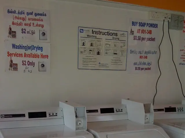 Cross-Chain AI Trade Revolution: A Glimpse into the Quantum Trading Era