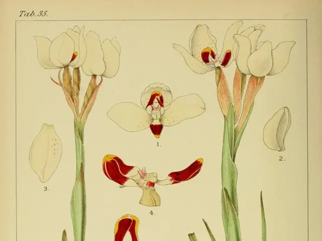 "The latest edition of the 'No Bees, No Life' magazine on our site has been launched"