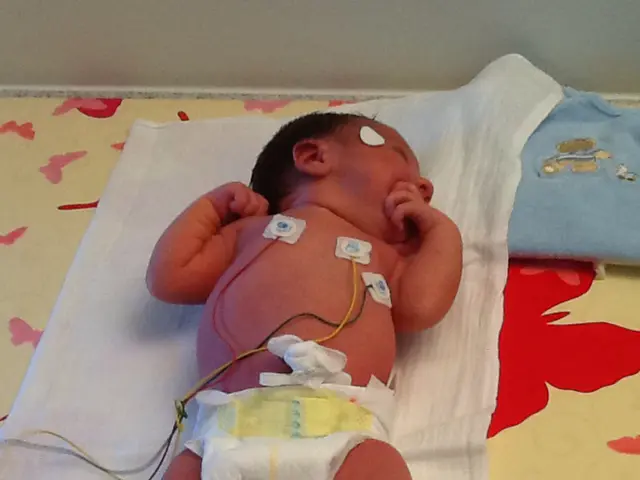 Interviews with Cyndee Hoagland, Trimble's Senior Vice President