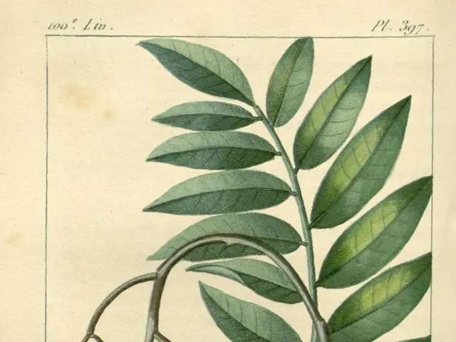 Celebrating a Notable Career in Agricultural Research