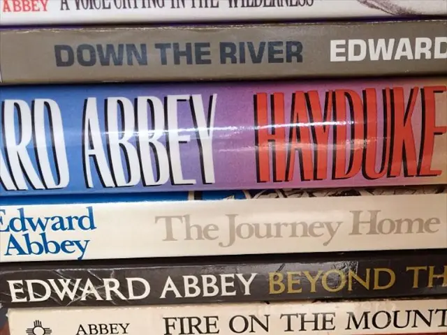 Bestselling Amazon Mexico Book Authors on August 4: Identifying the Most Popular Writer