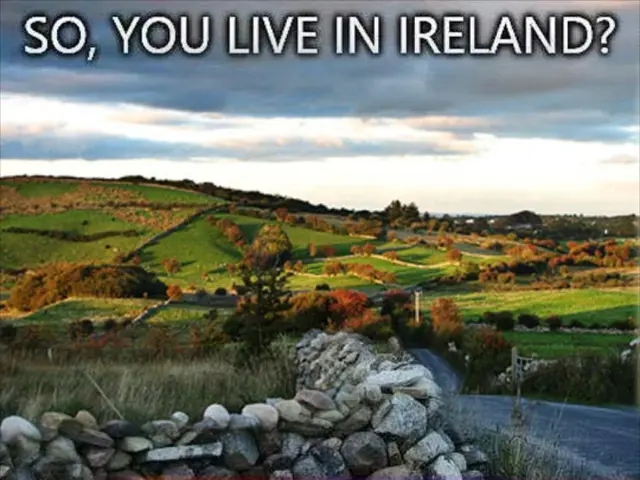 Coordinating Collective Wildfire Response within the Tech Community