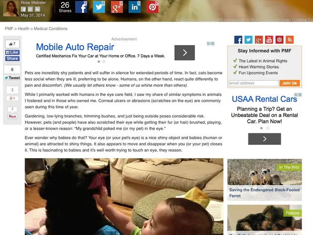 JavaScript: The entryway to the realm of web creation