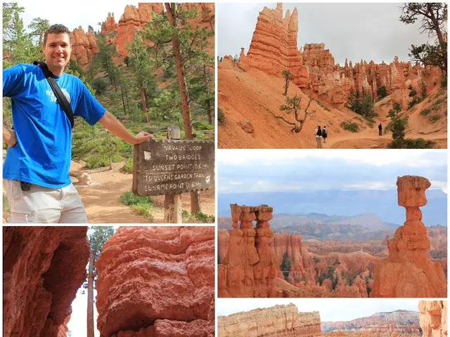 Medieval town discovered by archaeologists, guided by a 500-year-old hint