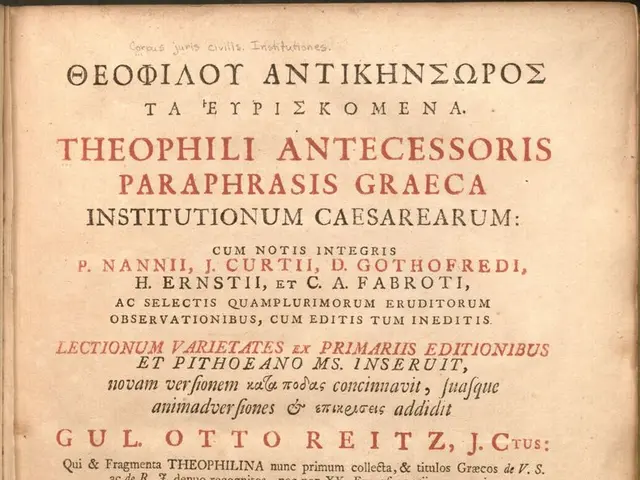 Exploring Potential Privacy Concerns in Blockchain Innovations