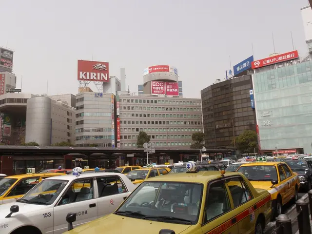 Transit Development: A Look Ahead