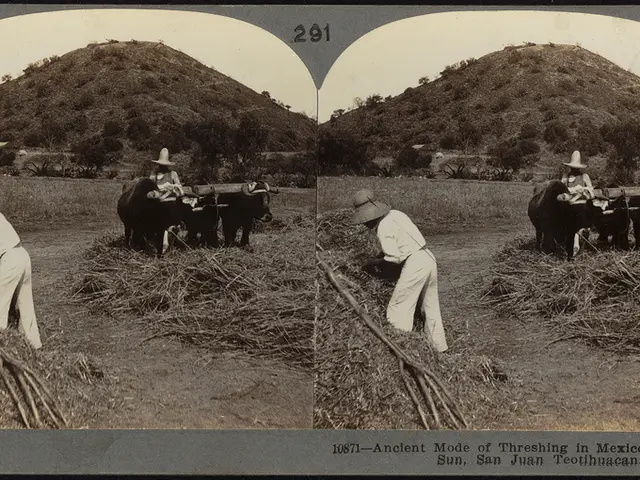 Rise by 10%, yet CFX's price remains steady at a significant barrier