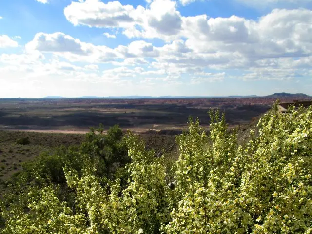 Cosmic and Star Chemistry - Meaning & In-Depth Analysis - Glossary of Astrochemistry