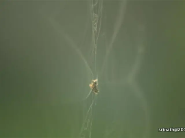 Website encountering issues? Analyzing error messages for potential reasons