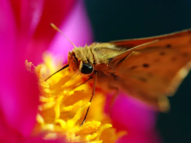 Forecasting Tomorrow: The Riddle of Endless Evolutionary Patterns Reoccurrence