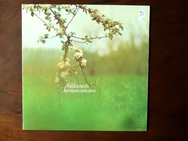 Vodafone implements Amagi services for the rollout of FAST streaming platform