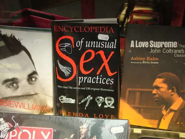 Top Electronic Book Readers for Summer 2025