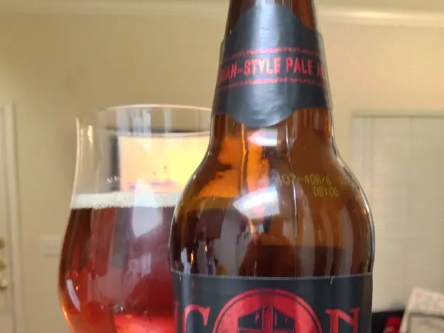 Comparing Neobanks in the Year 2024