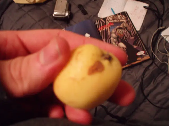 Manipulatable Hand Holograms Created by Researchers