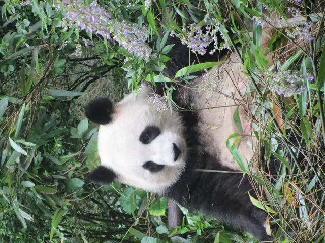 Transform Data with Ease Using These Three Effective Techniques in Pandas