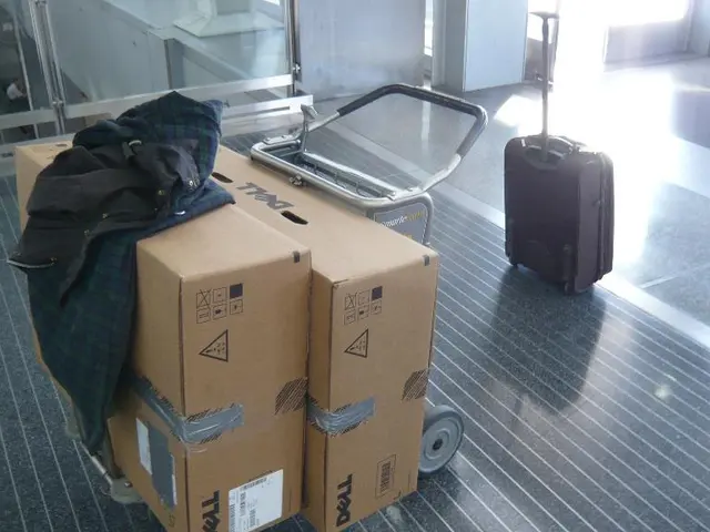 Emirates Introduces Revolutionary Express Delivery System