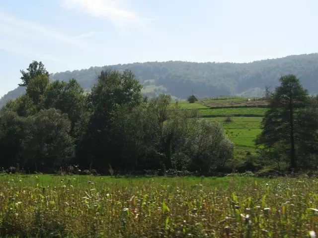 Mars Terrification with Vegetation Possible