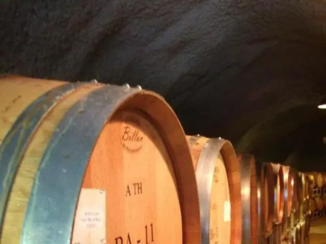 Oil prices drop in anticipation of this week's Trump-Putin meeting