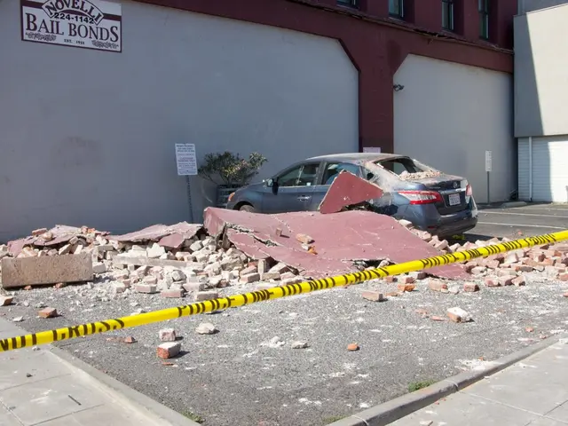 Significant possibility of stock purchasesexpected this year, assert Oppenheimer analysts.