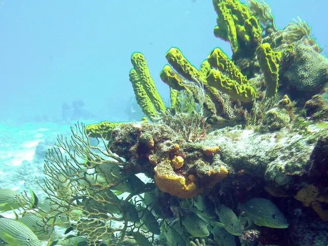 Weekly Image Showcase: Microscopic Chaos of March Madness